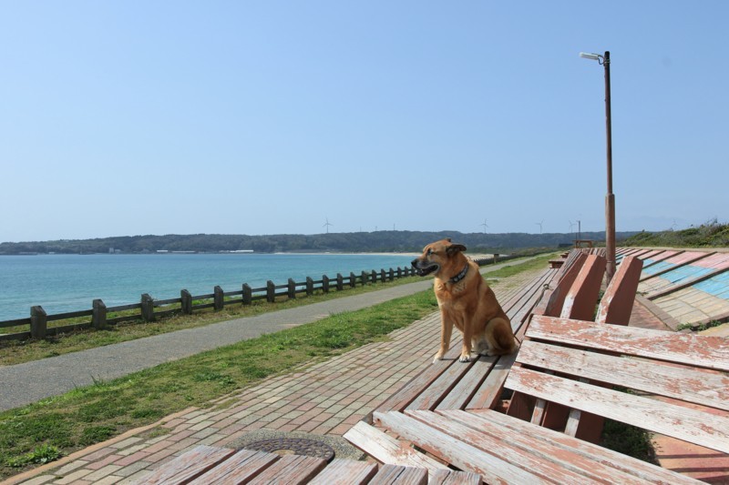 f:id:mamimami_LA:20180416133659j:plain f:id:mamimami_LA:20180416133659j:plain