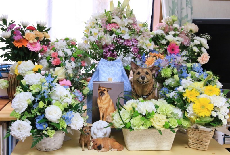 f:id:mamimami_LA:20180419095209j:plain f:id:mamimami_LA:20180419095209j:plain