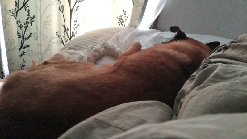 f:id:mamimami_LA:20180419194536j:plain