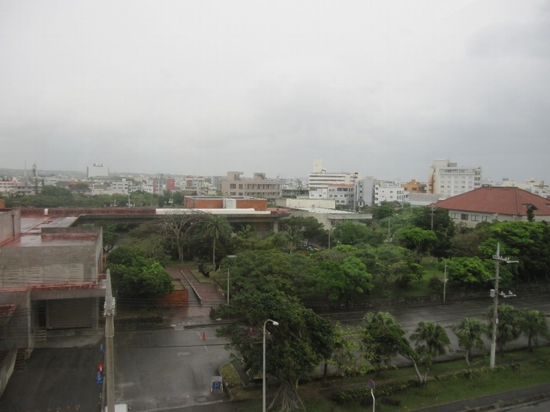 f:id:mamimamimaaa:20190313150120j:plain