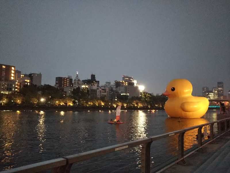 水都大阪 夏 ラバーダックプロジェクトの夜 お風呂のあひるの世界