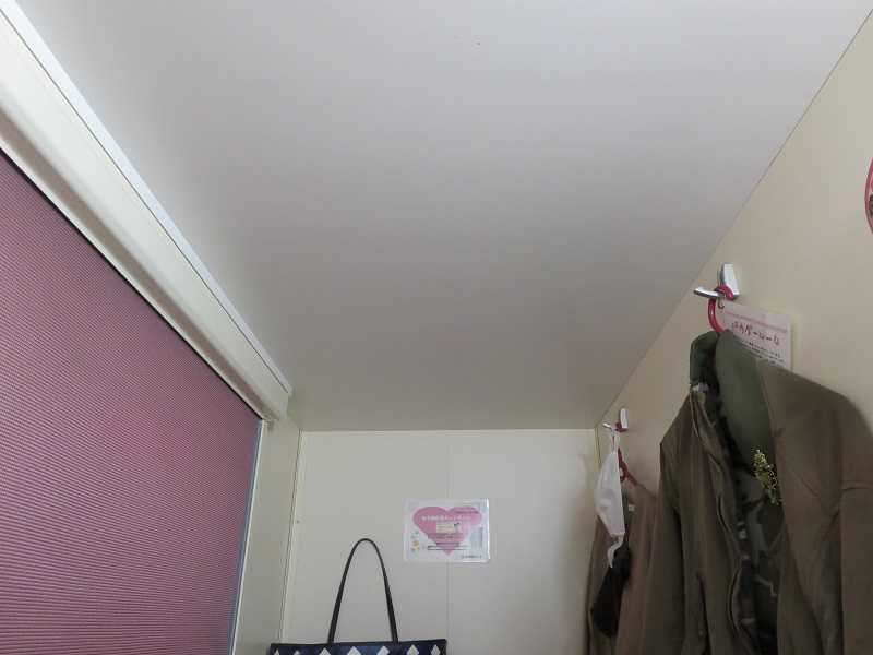 f:id:mamimamimaaa:20201102163533j:plain
