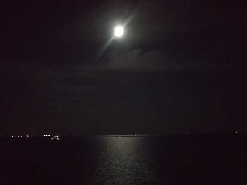 f:id:mamimamimaaa:20201102163814j:plain