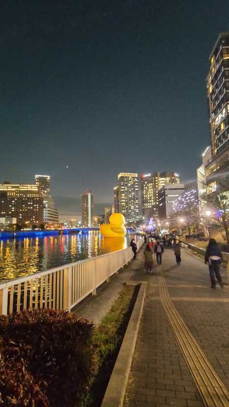 f:id:mamimamimaaa:20211212113451j:plain