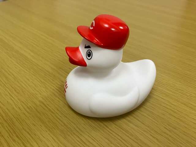 カープ アヒル 4体セット カープ アヒル 4体セット