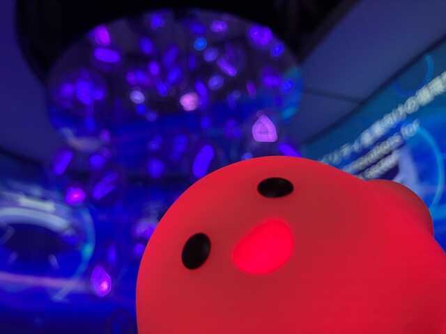 サーキュラー(小) ドイツパビリオン【匿名配送】 - メルカリ