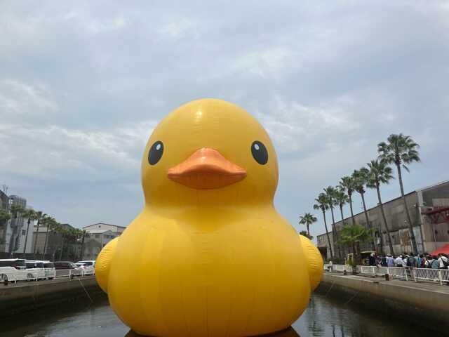 北加賀屋BIG☆BANG＊ラバーダックプロジェクト、2025初夏 - お風呂の