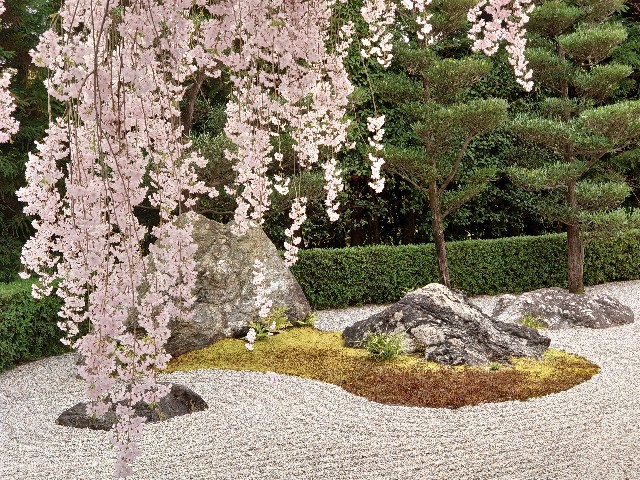 f:id:maming1965:20220423174838j:image f:id:maming1965:20220423174838j:image