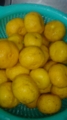 20081216194209