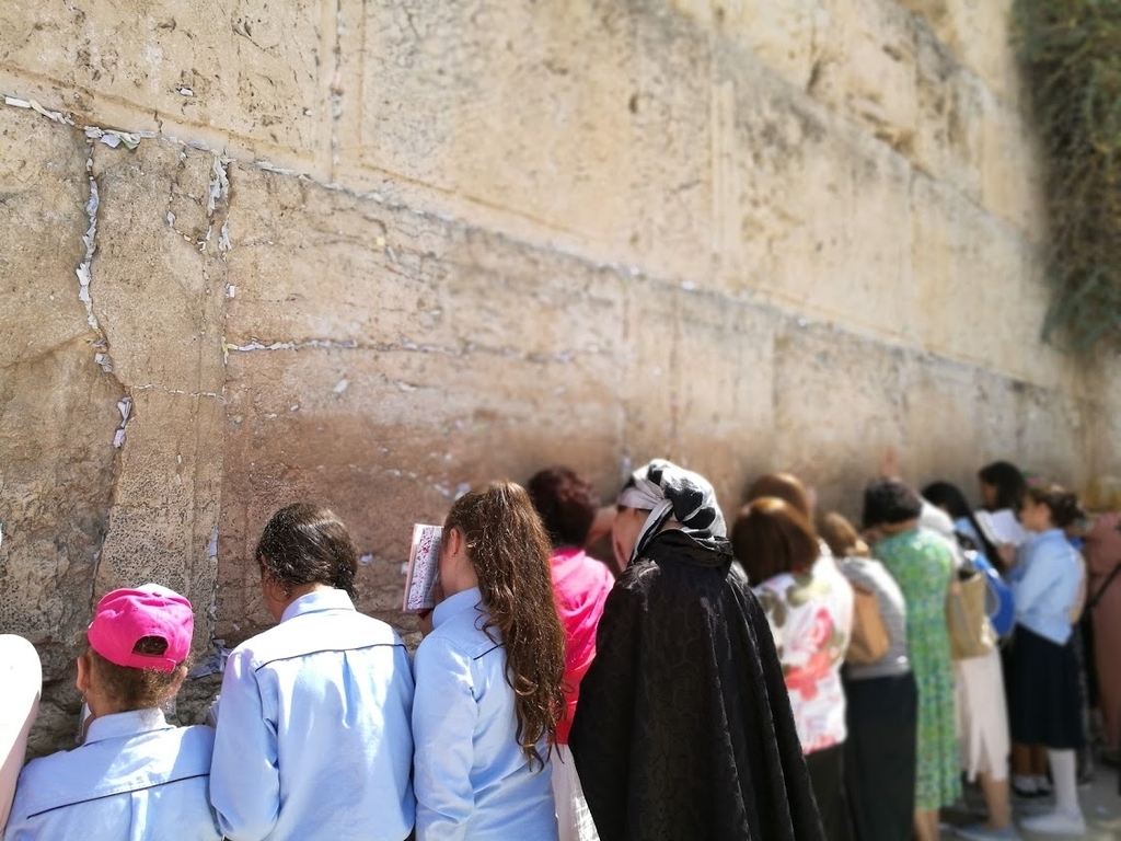 f:id:maminxx1217:20190126193313j:plain