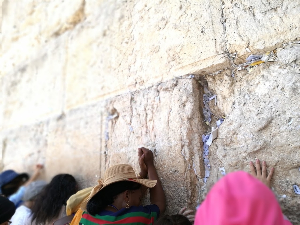 f:id:maminxx1217:20190126193331j:plain