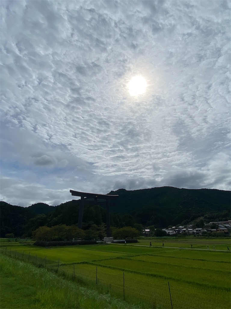 f:id:mamio-diary:20240928213847j:image