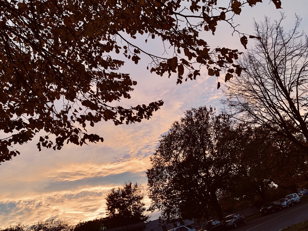 f:id:mamippe:20201107131354j:plain