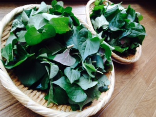 f:id:mamisinpuruseikatu:20150524170039j:plain f:id:mamisinpuruseikatu:20150524170039j:plain