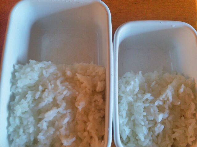お弁当箱に詰めた御飯画像
