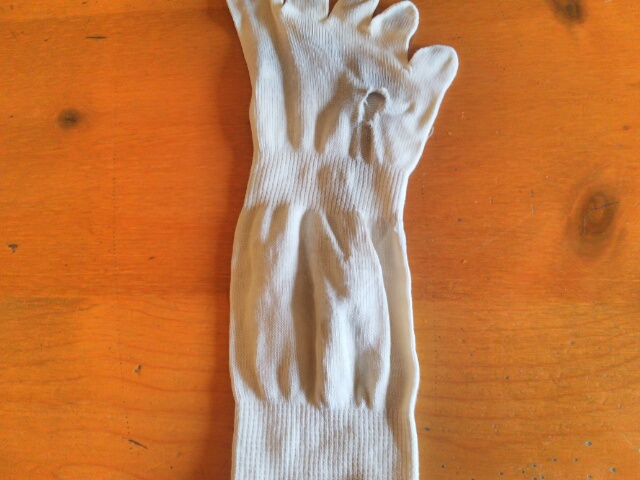 f:id:mamisinpuruseikatu:20151115141156j:plain