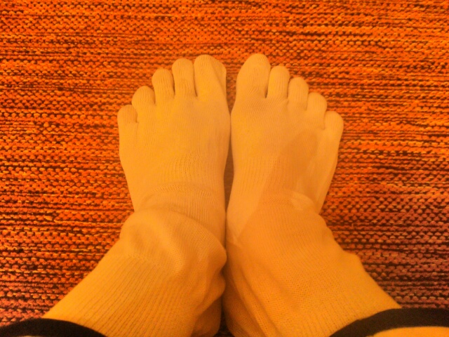 f:id:mamisinpuruseikatu:20151115175033j:plain