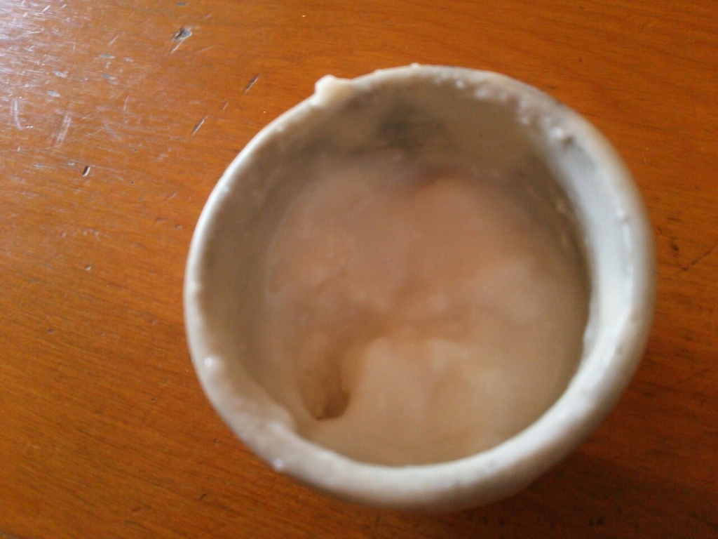酒粕をを水を水でマヨネーズぐらいの固さにした画像