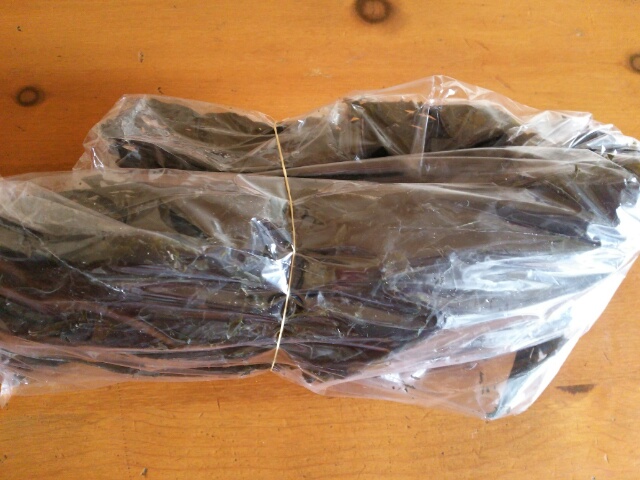 お伊勢参りお伊勢参りの土産　乾燥ワカメ