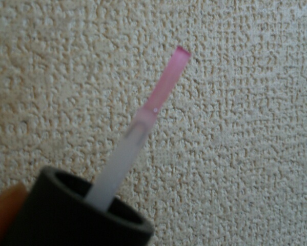 f:id:mamisinpuruseikatu:20170414094833j:plain