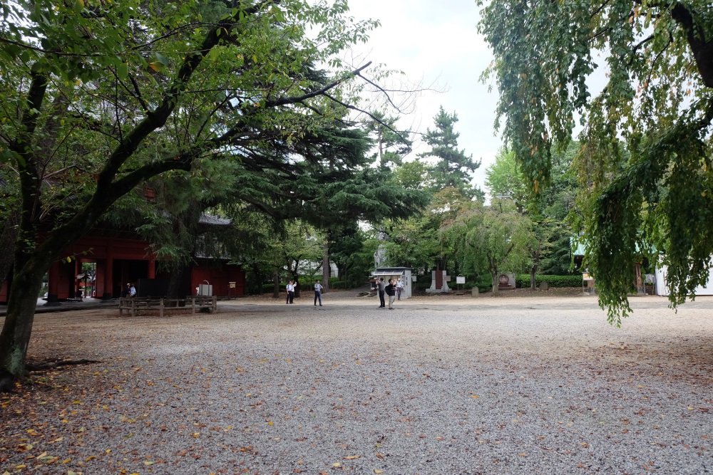 f:id:mamiwa02:20190919235746j:plain