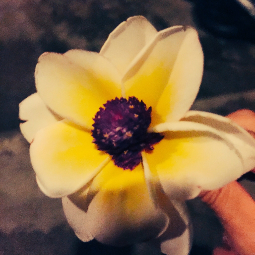 f:id:mamiwakatuki:20170501234437j:plain f:id:mamiwakatuki:20170501234437j:plain