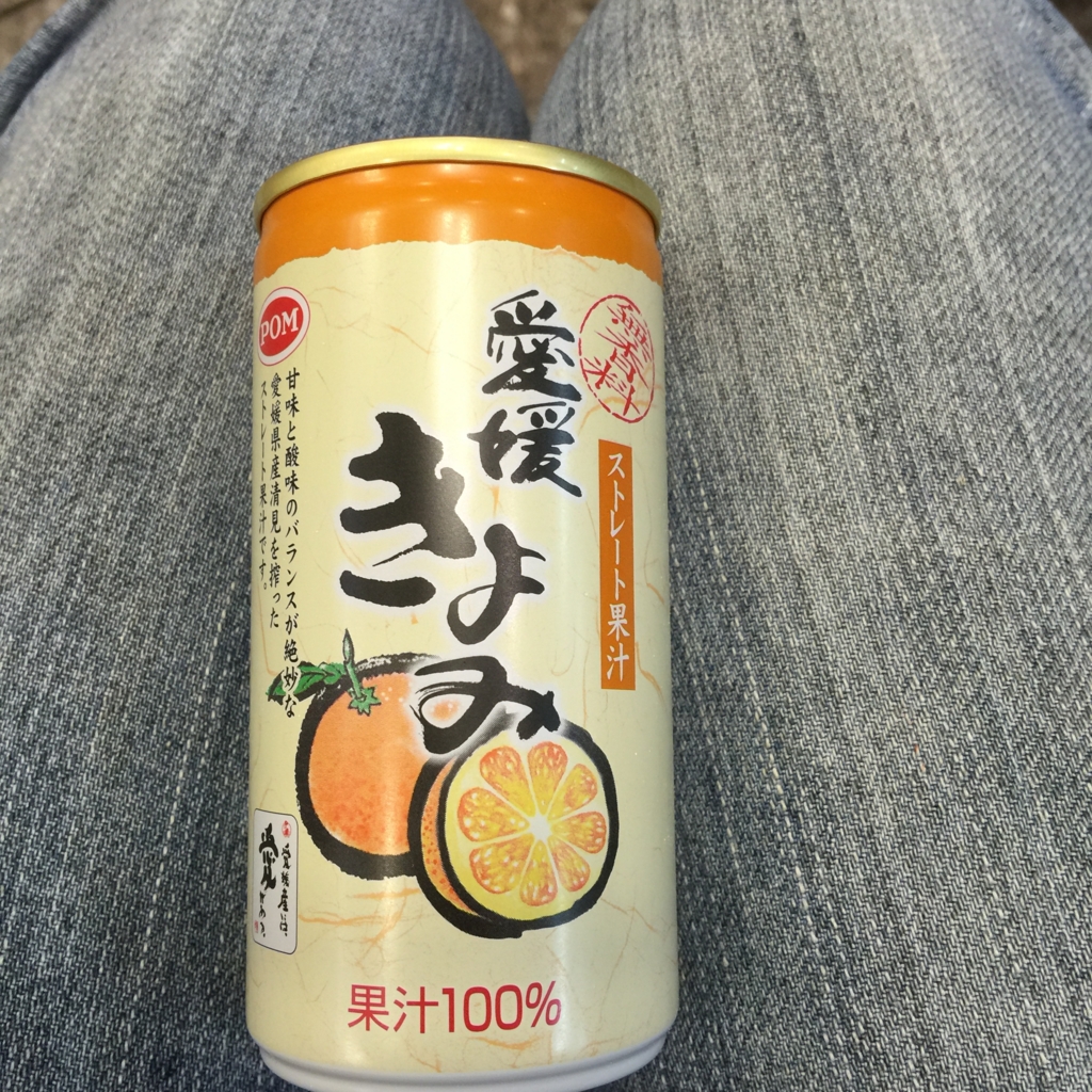 f:id:mamiwakatuki:20170514131857j:plain