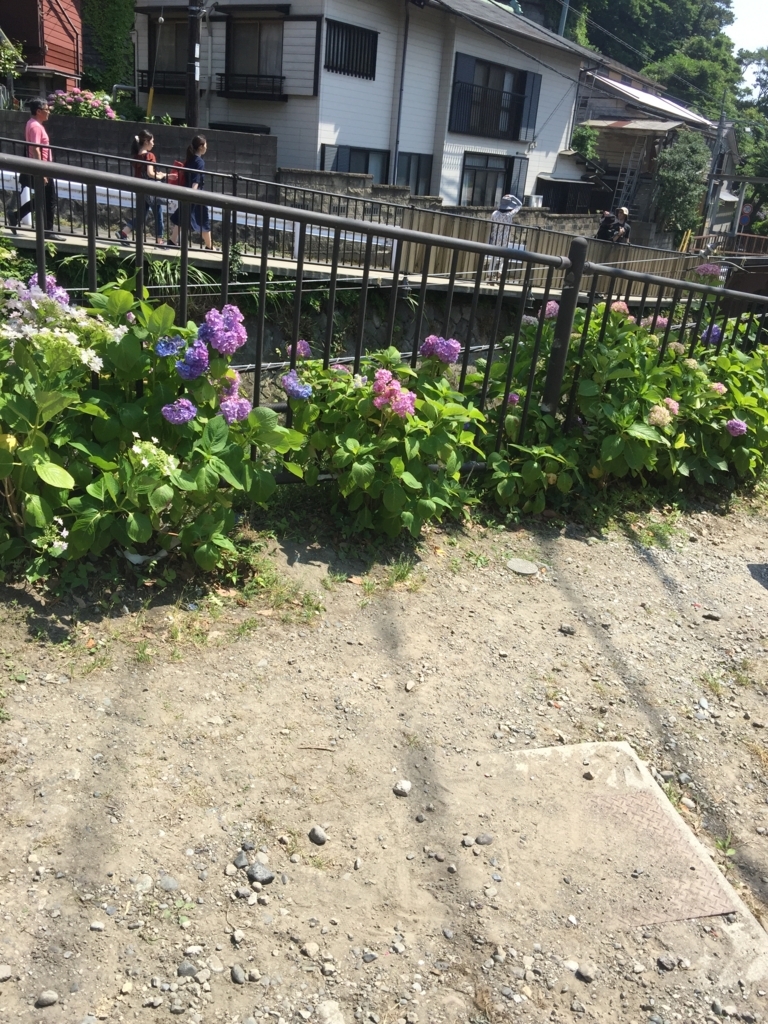 f:id:mamiwakatuki:20170611112635j:plain
