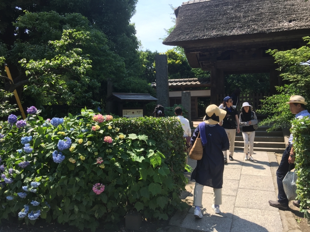 f:id:mamiwakatuki:20170611112922j:plain
