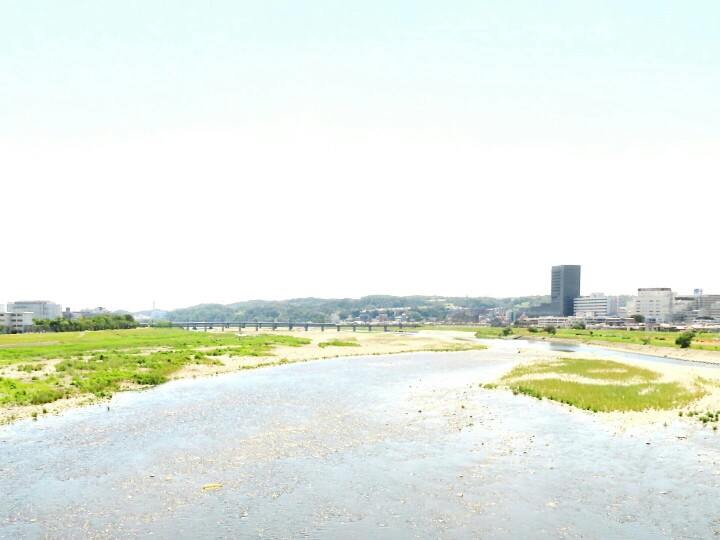 f:id:mamiyankun:20200529165045j:plain f:id:mamiyankun:20200529165045j:plain