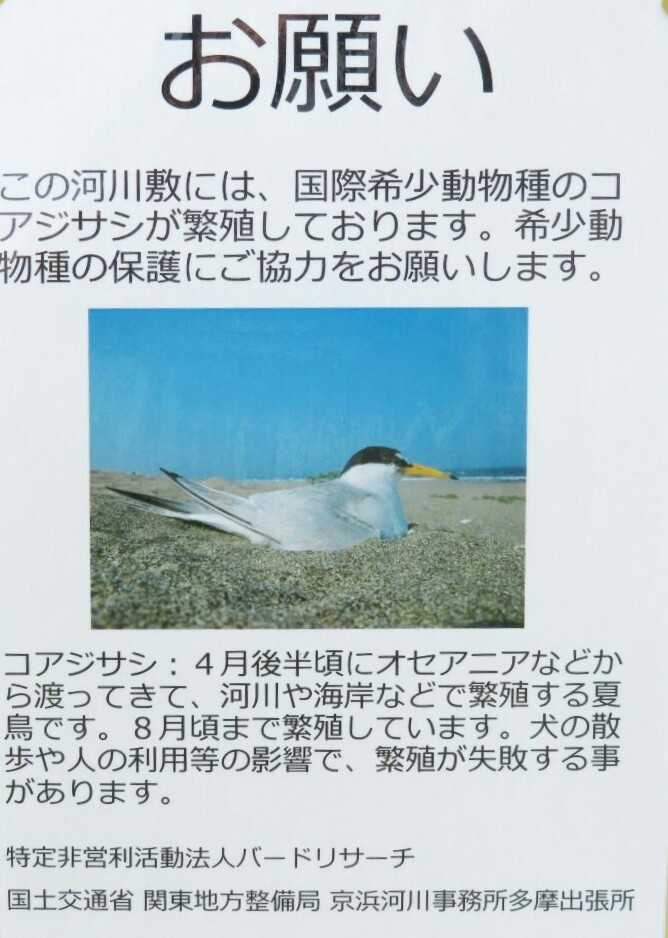 f:id:mamiyankun:20200611200041j:plain f:id:mamiyankun:20200611200041j:plain
