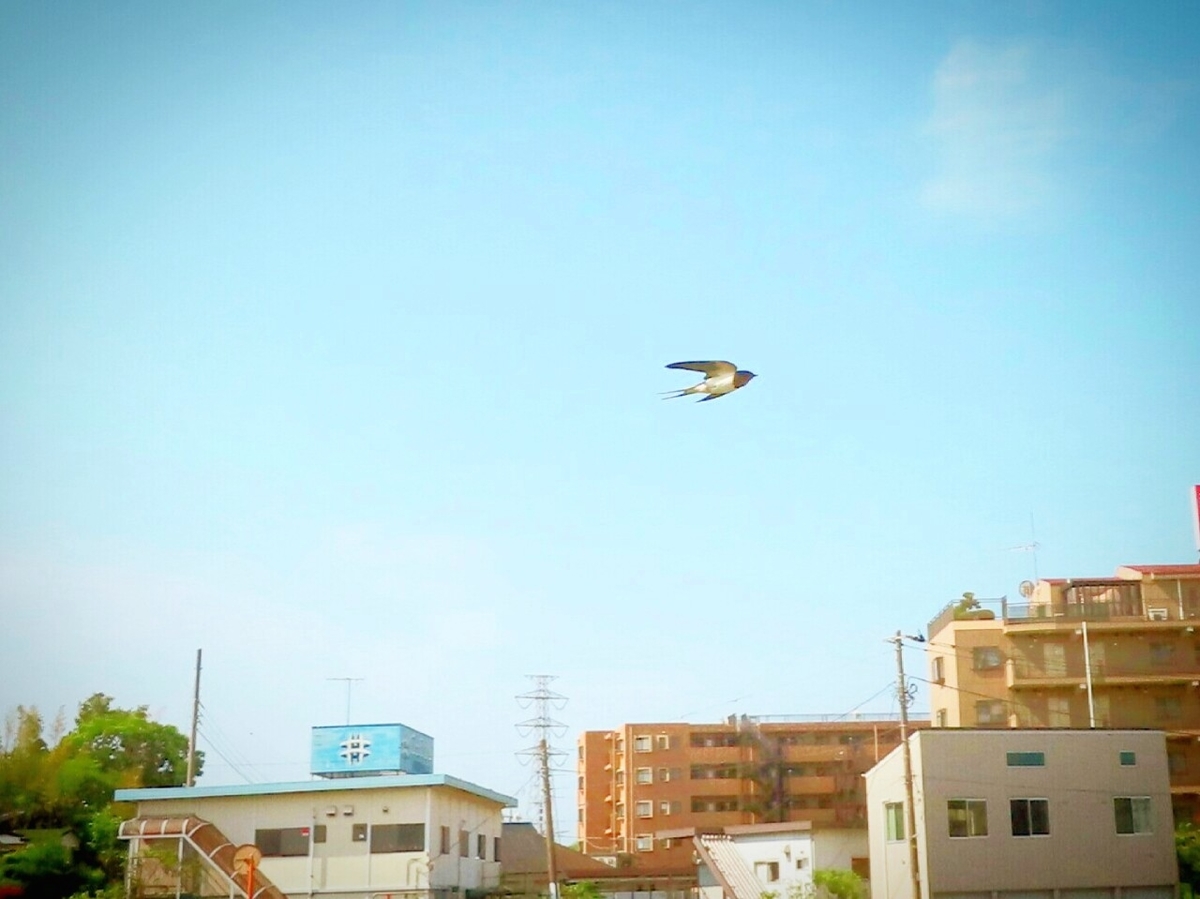 f:id:mamiyankun:20200924221045j:plain f:id:mamiyankun:20200924221045j:plain