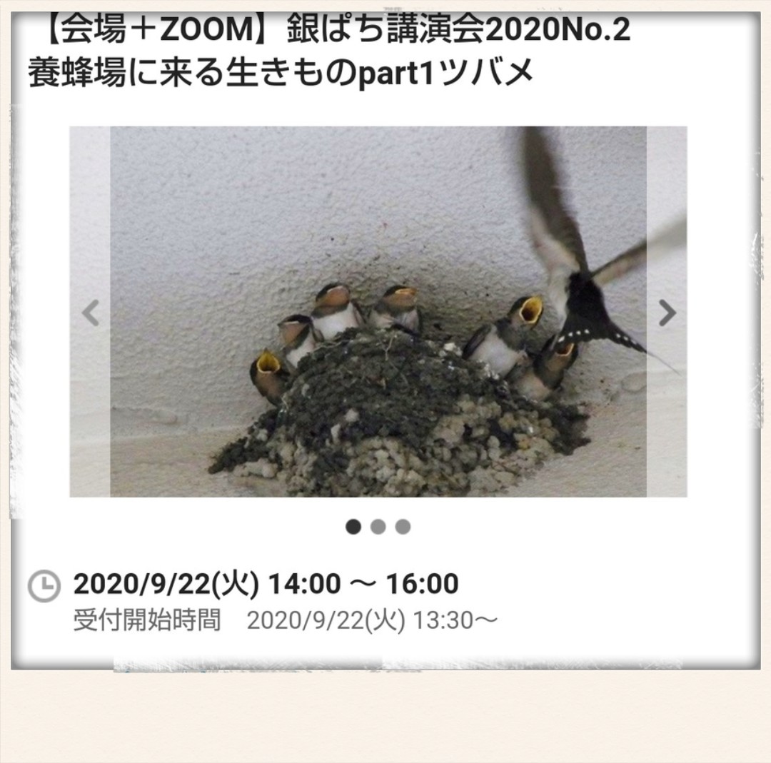 f:id:mamiyankun:20200926152502j:plain f:id:mamiyankun:20200926152502j:plain