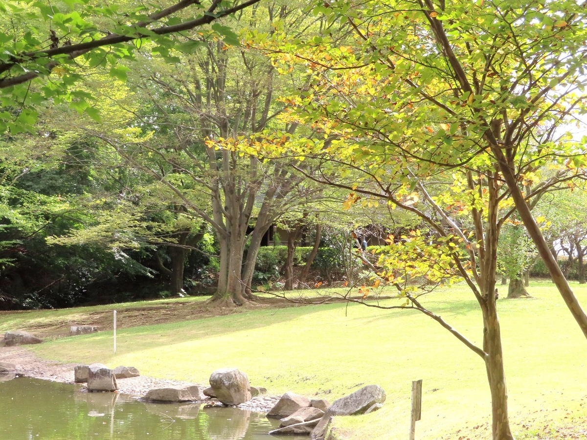 f:id:mamiyankun:20211022202711j:plain