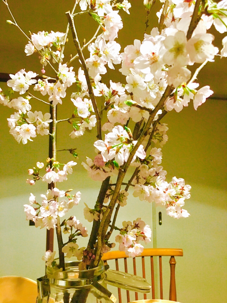 f:id:mamma-onakasuita:20170409235132j:plain f:id:mamma-onakasuita:20170409235132j:plain