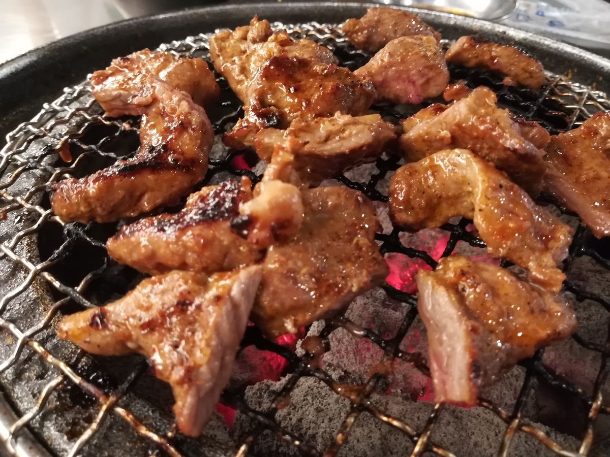 f:id:mammoth-taro:20190513213617j:plain f:id:mammoth-taro:20190513213617j:plain
