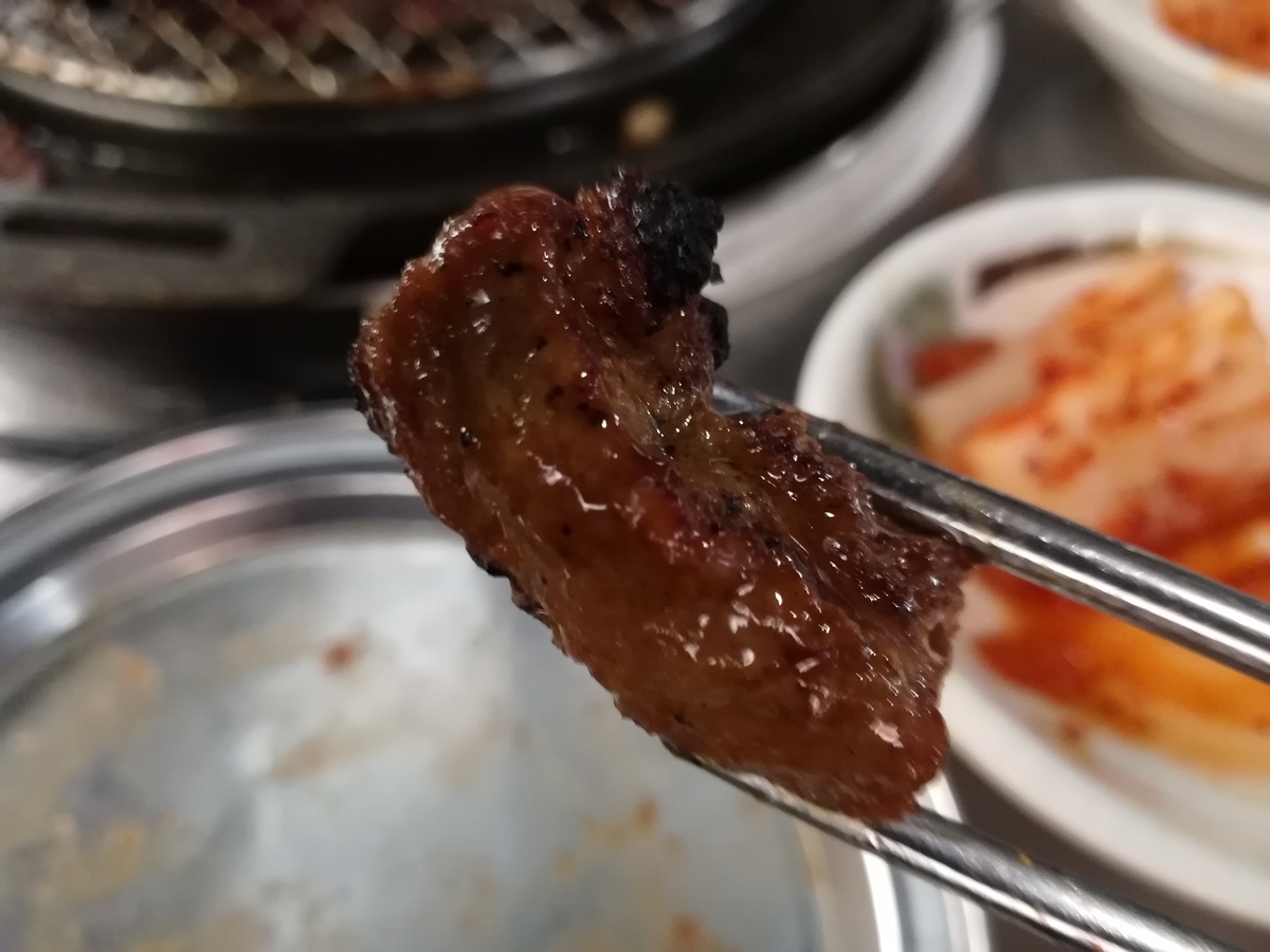 f:id:mammoth-taro:20190513213647j:plain f:id:mammoth-taro:20190513213647j:plain