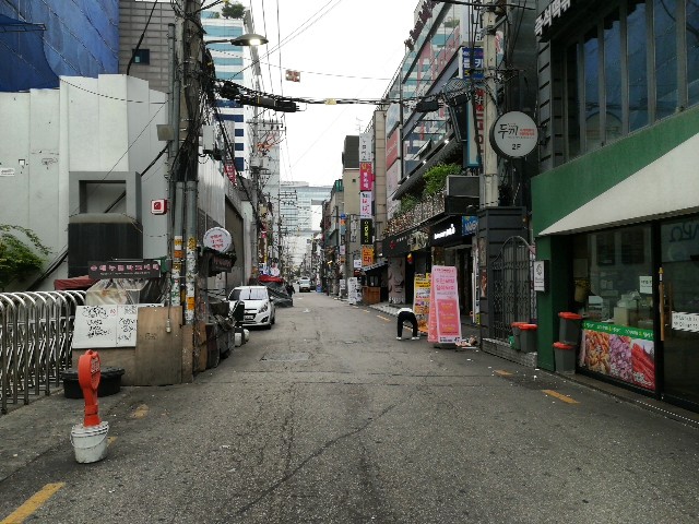 f:id:mammoth-taro:20190513224648j:plain f:id:mammoth-taro:20190513224648j:plain