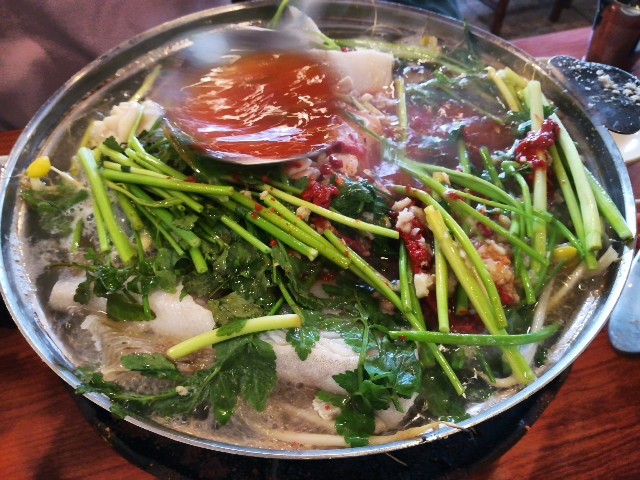 f:id:mammoth-taro:20190609154648j:plain f:id:mammoth-taro:20190609154648j:plain