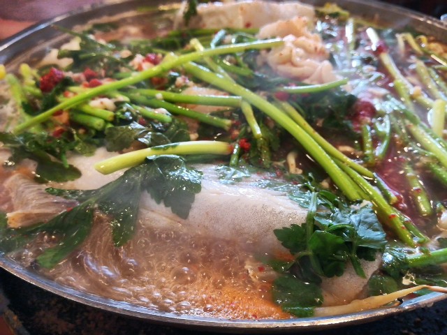 f:id:mammoth-taro:20190609154655j:plain f:id:mammoth-taro:20190609154655j:plain