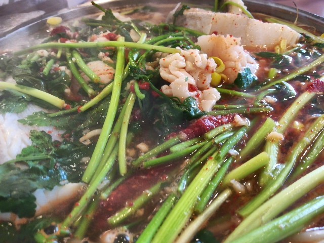 f:id:mammoth-taro:20190609154701j:plain f:id:mammoth-taro:20190609154701j:plain