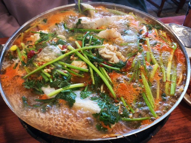 f:id:mammoth-taro:20190609154703j:plain f:id:mammoth-taro:20190609154703j:plain