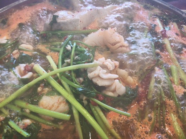 f:id:mammoth-taro:20190609154706j:plain f:id:mammoth-taro:20190609154706j:plain