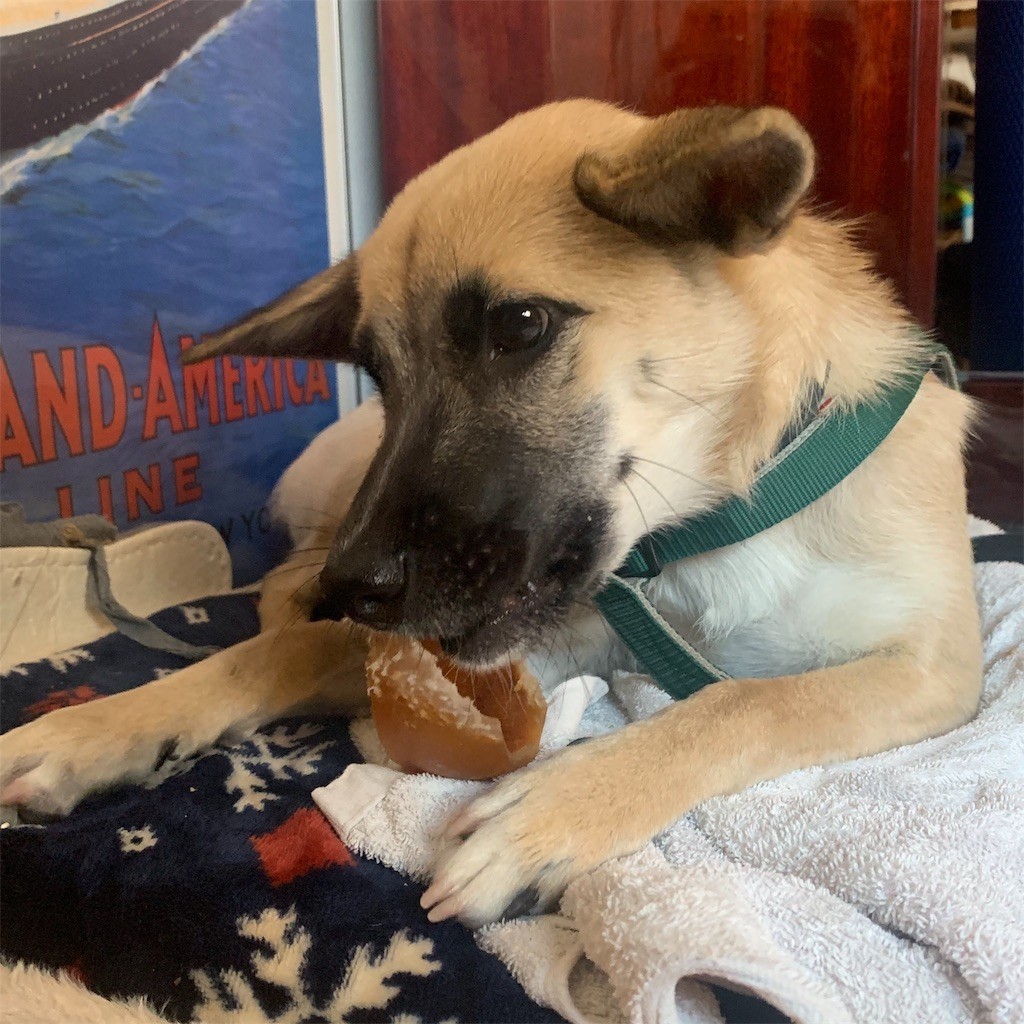 f:id:mamo76:20191120102603j:image f:id:mamo76:20191120102603j:image