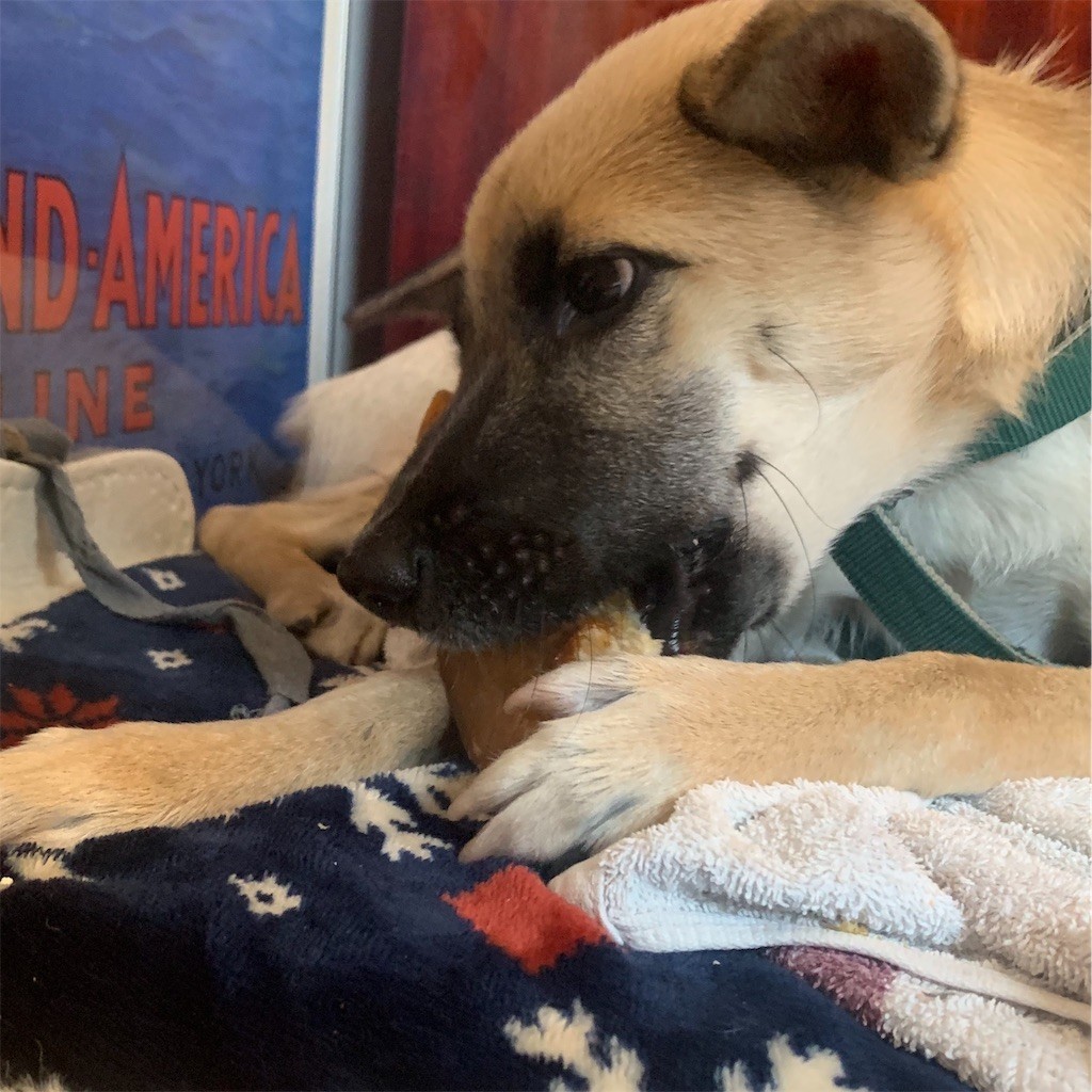 f:id:mamo76:20191120102617j:image f:id:mamo76:20191120102617j:image