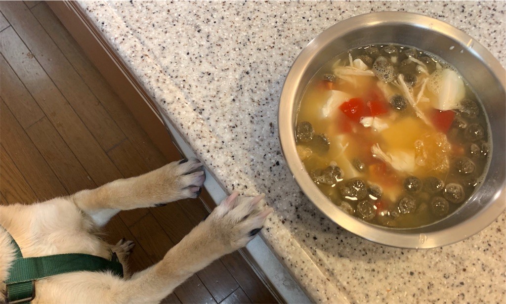 f:id:mamo76:20191203123104j:image f:id:mamo76:20191203123104j:image