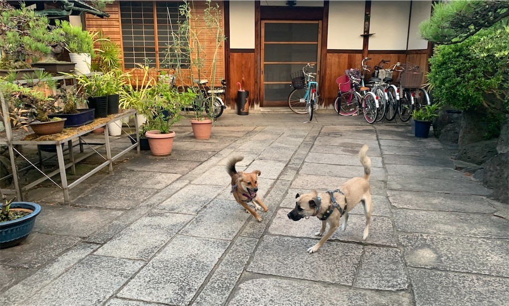 f:id:mamo76:20200915145911j:image