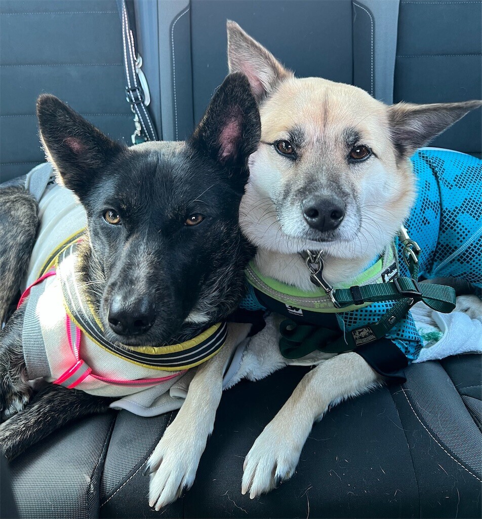 f:id:mamo76:20240109204344j:image