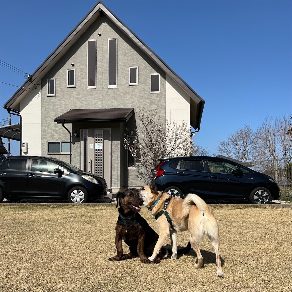 f:id:mamo76:20240109204348j:image