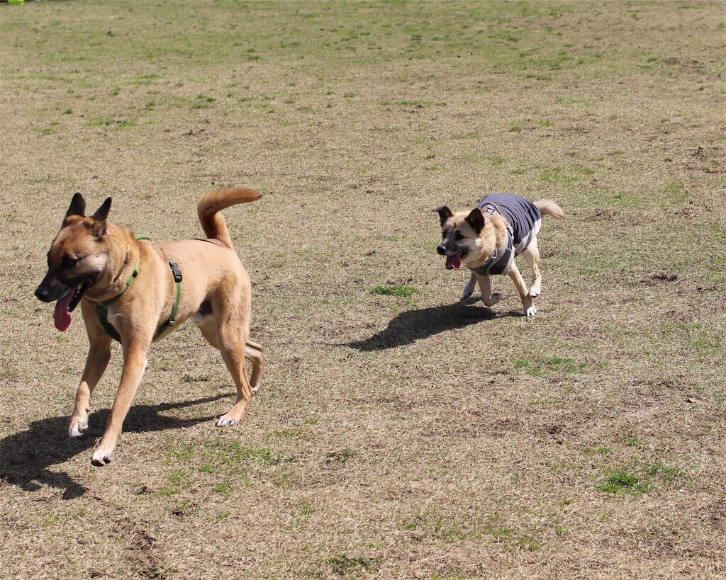 f:id:mamo76:20240109204621j:image